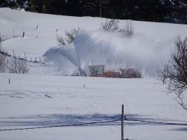 Photo 02RMCH2015_0061.jpg