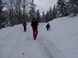 Photo 31RMCH2015_0004.jpg