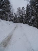 Photo 31RMCH2015_0005.jpg