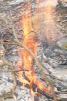 Photo PRC_RMC2013_J1_0072.jpg