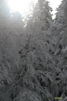 Photo PRC_RMC2013_J3_0032.jpg