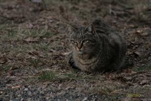 Photo RMC2012_J2_0068.jpg