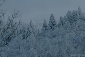 Photo RMCH10 dimanche (82).jpg