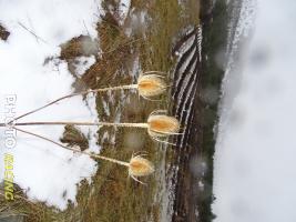 Photo RMCH19_0035.jpg